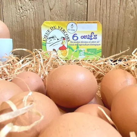 Hotel Le Dauphin Villard-de-Lans