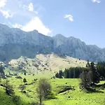Le Dauphin Отель