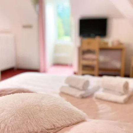 Hotel Le Dauphin Villard-de-Lans